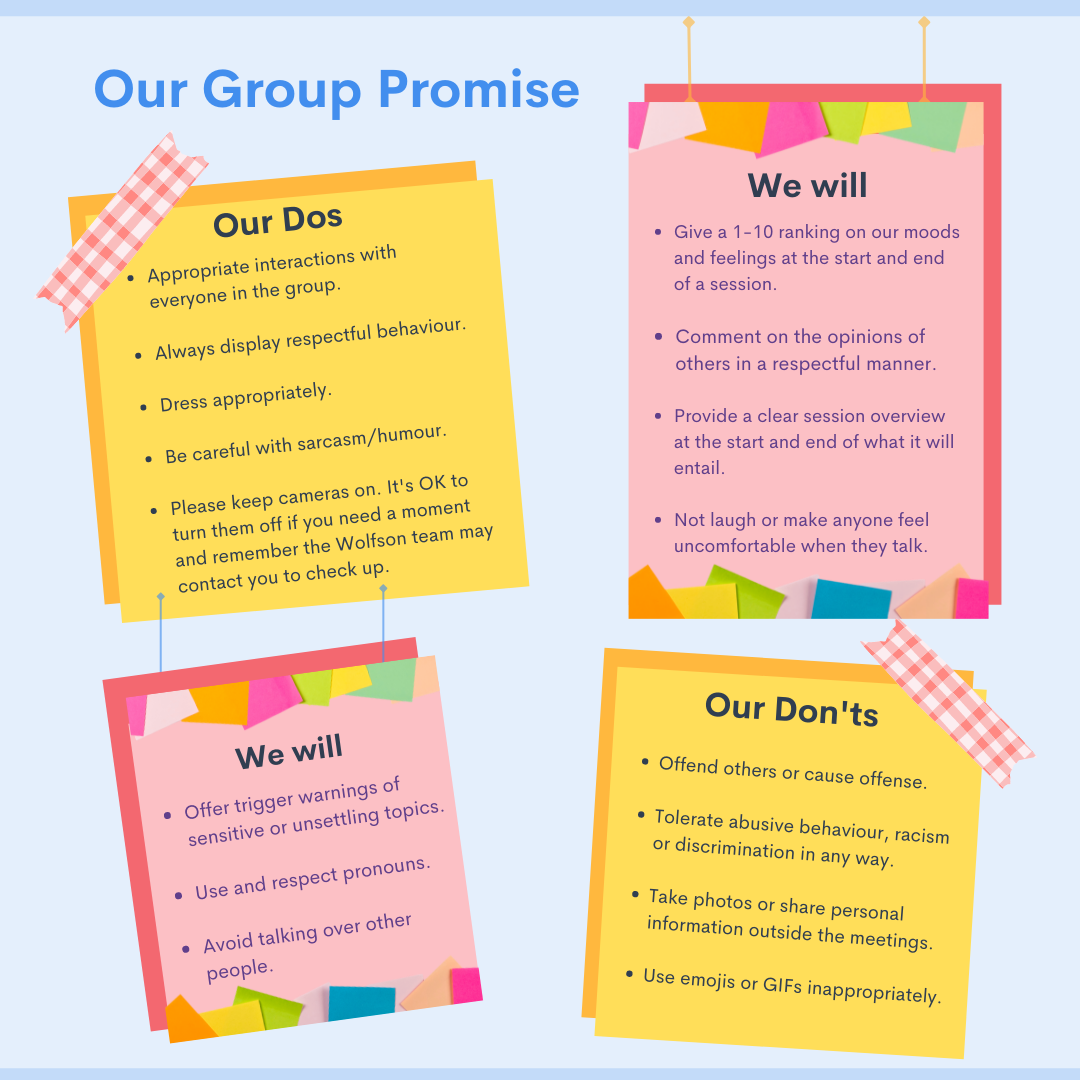 Woflson Centre's YAG Group Promise