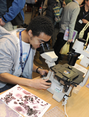 A pupil looking at bone cells under a microscope