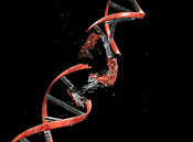 DNA helix