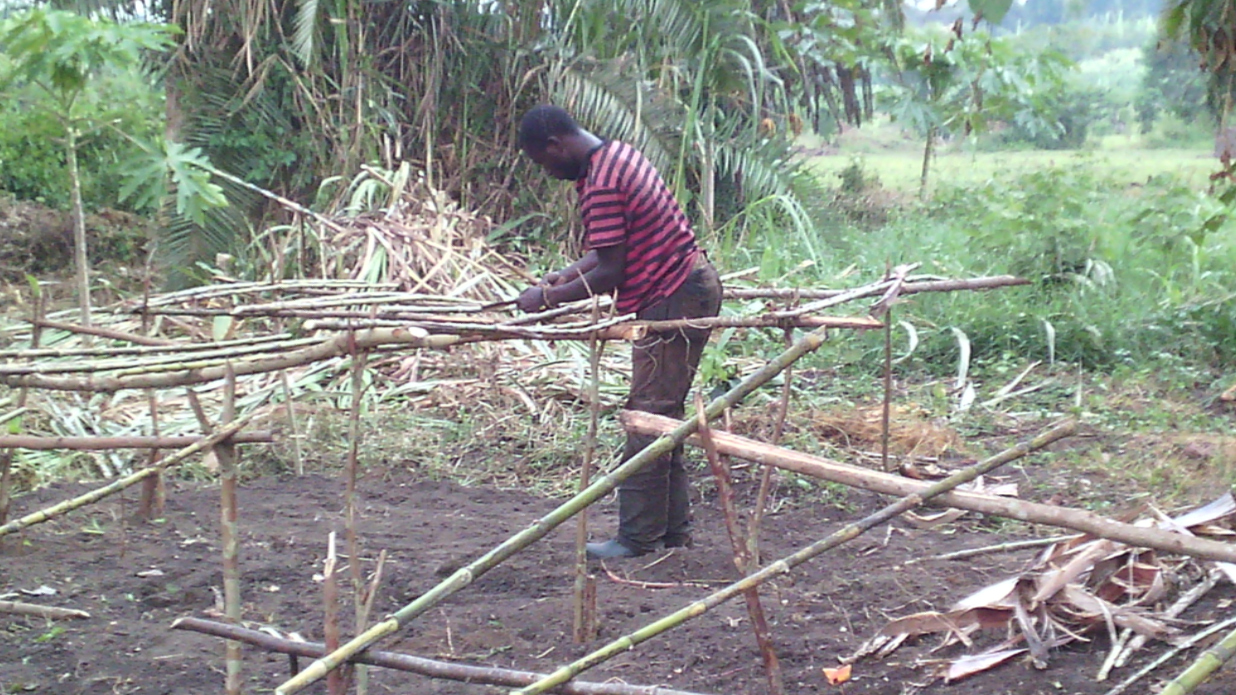Ugandan man building plant nursery