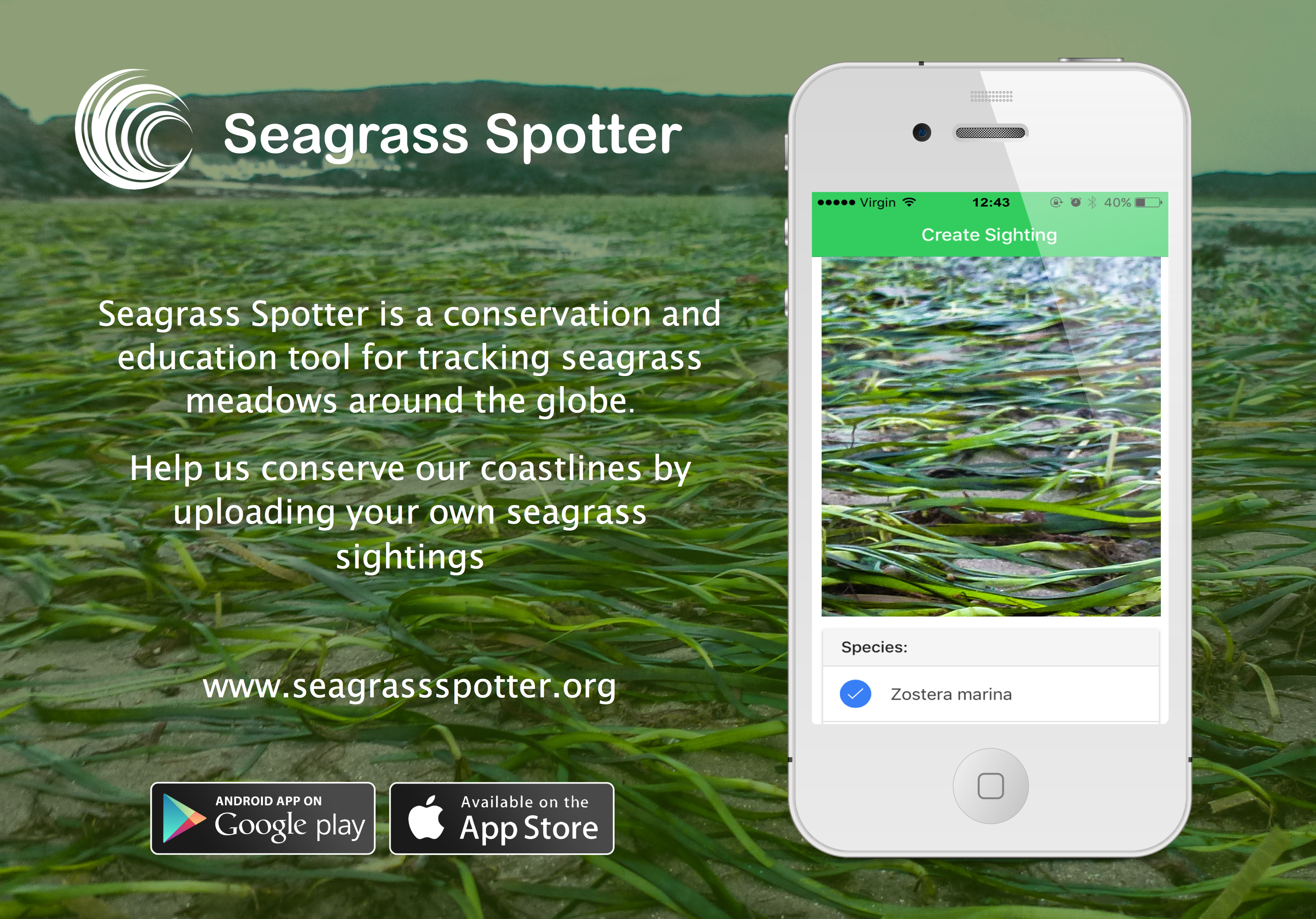 Seagrass spotter