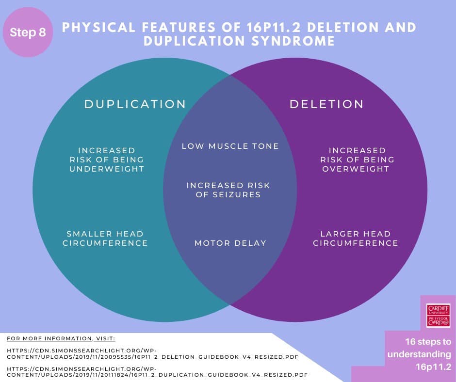 A graphic showing the symptoms of someone with 16p11.2