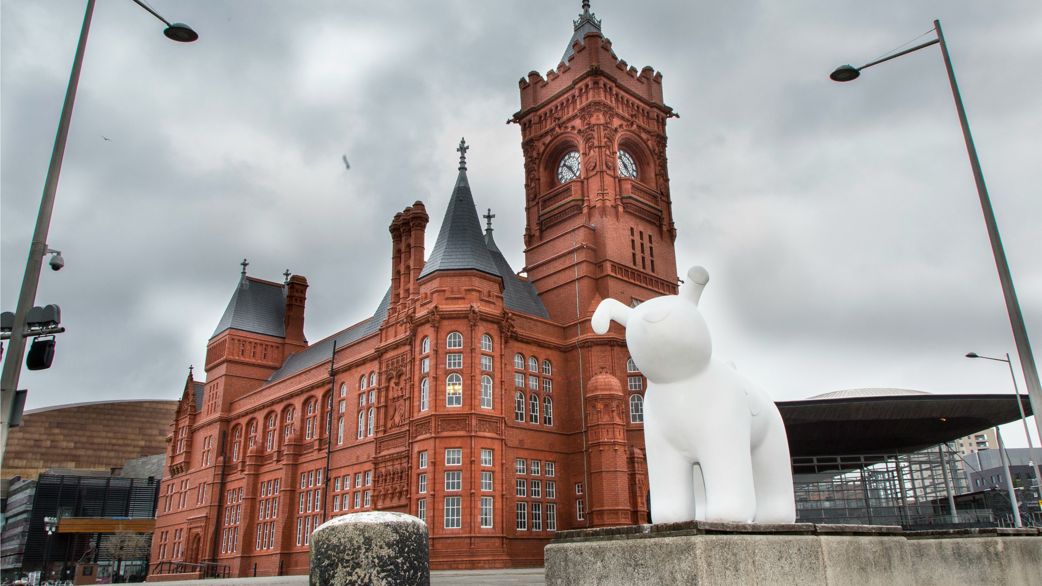 Ty Hafan Snow Dog - Perhead Building