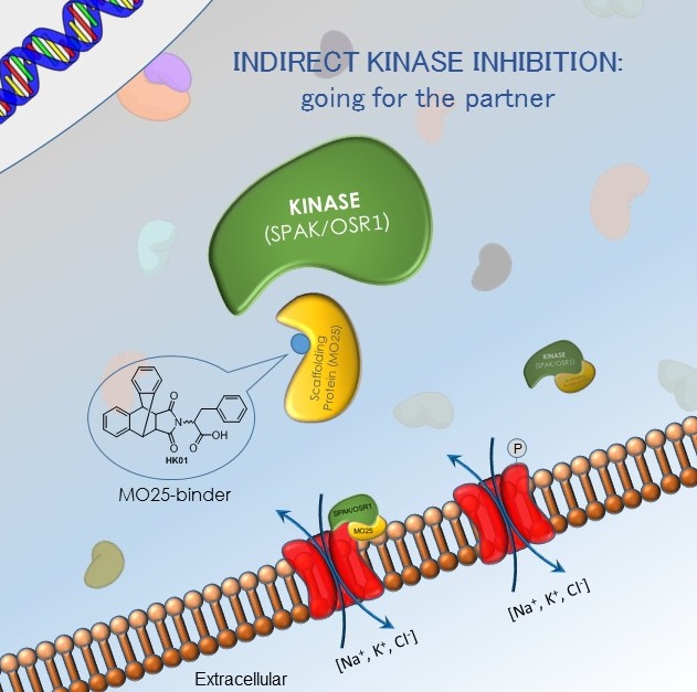 Indirect kinase inhibition diagram