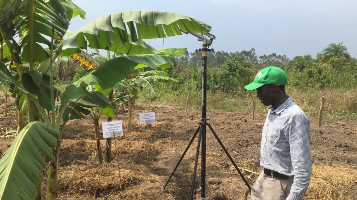 Sprinkler system on Ugandan crops