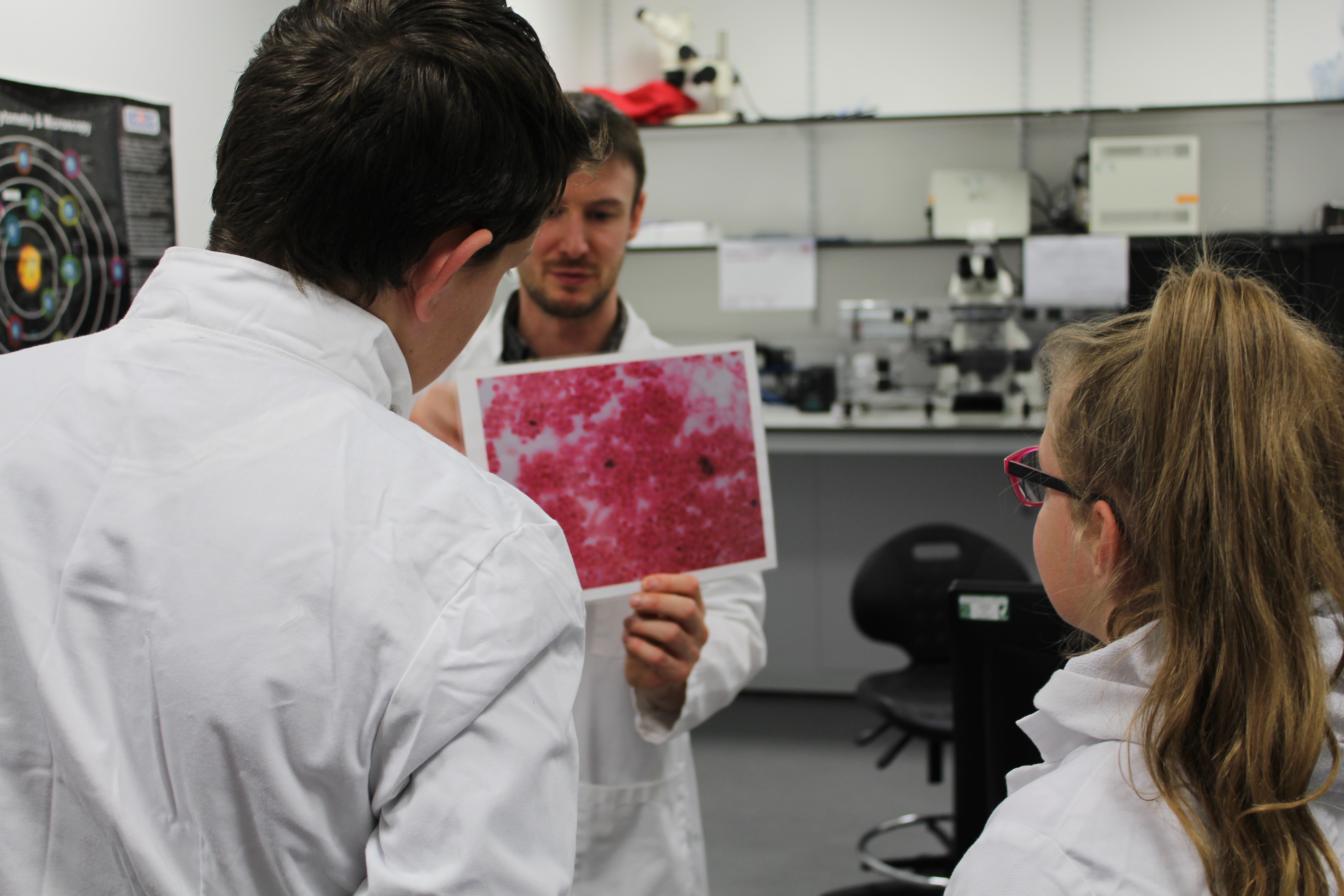 Lab Tour