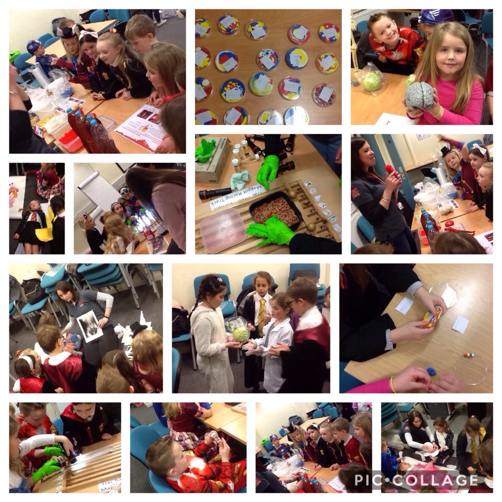 year 1 collage