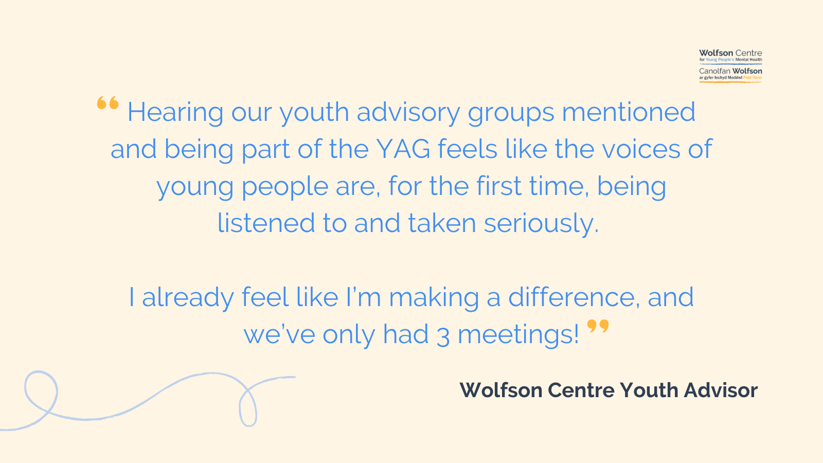 Youth Advisory Group member quote re Senedd mention