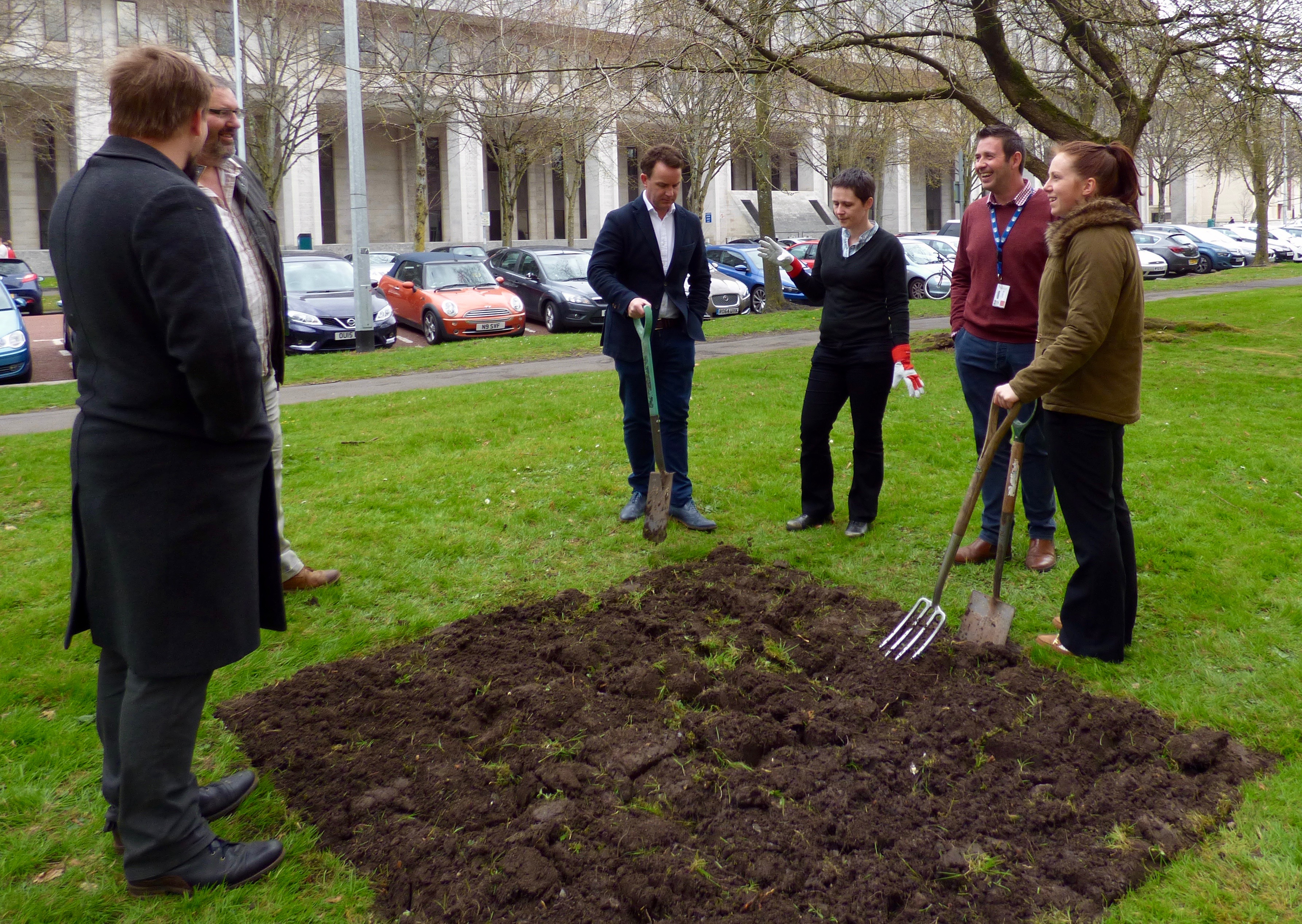 redwood planting 6