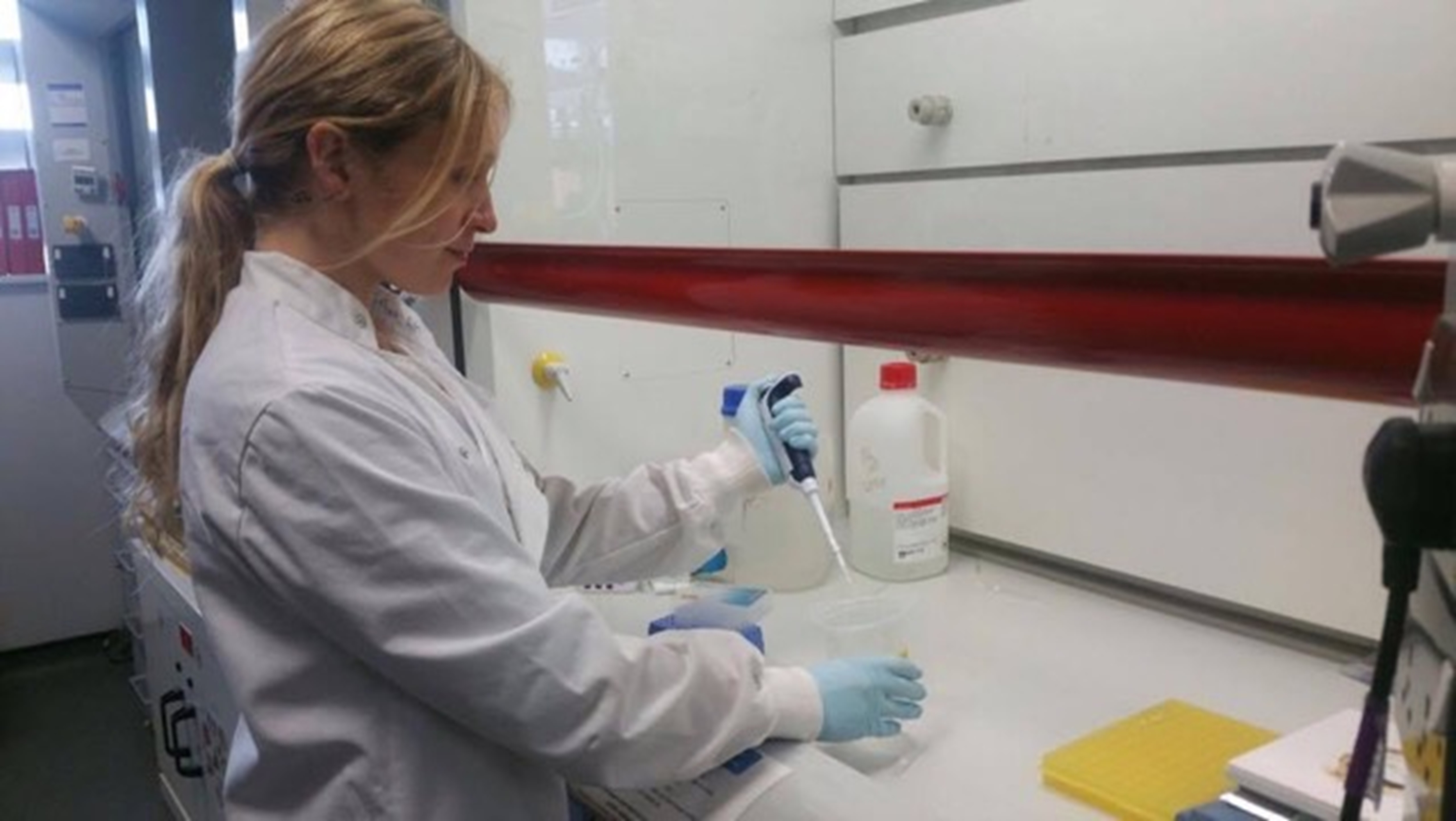 Anna Moon in the lab