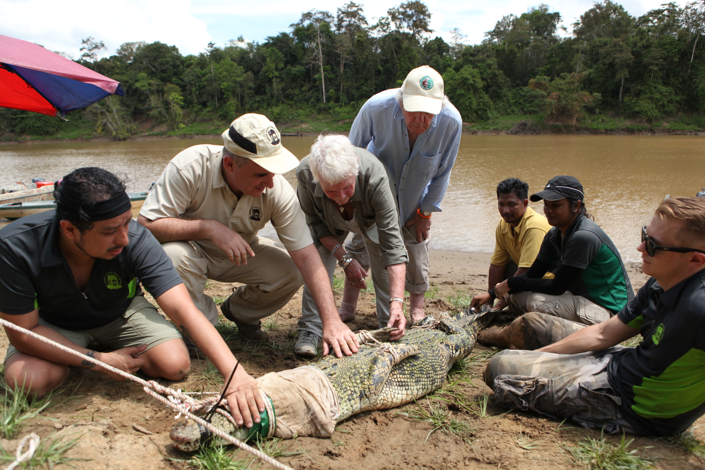 Image of Dame Judi with the team as they examine a crocodile