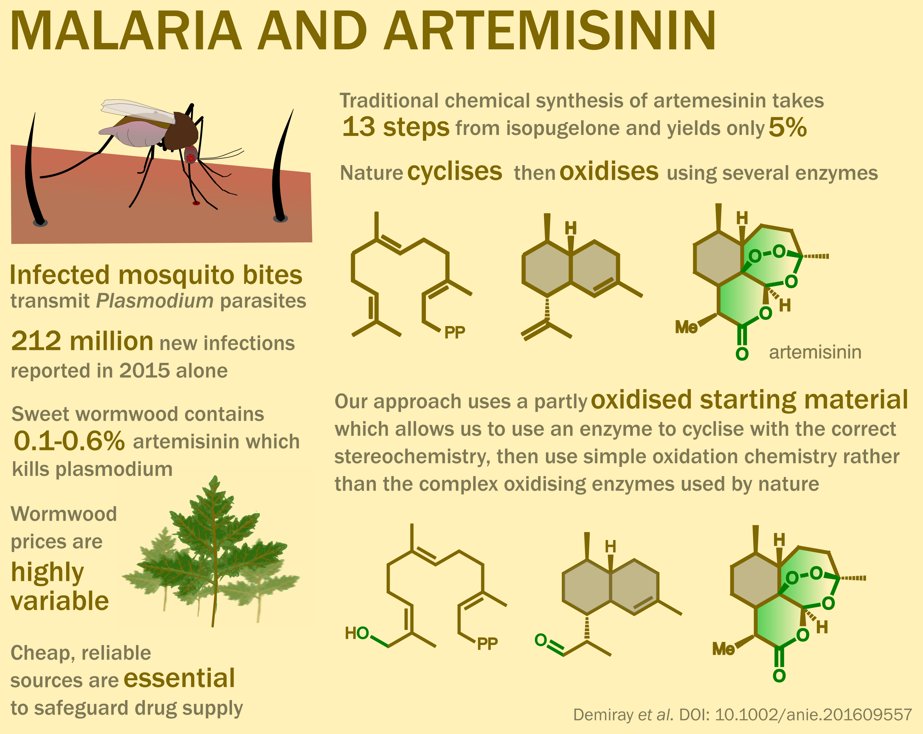 Malaria and artemisinin infographic