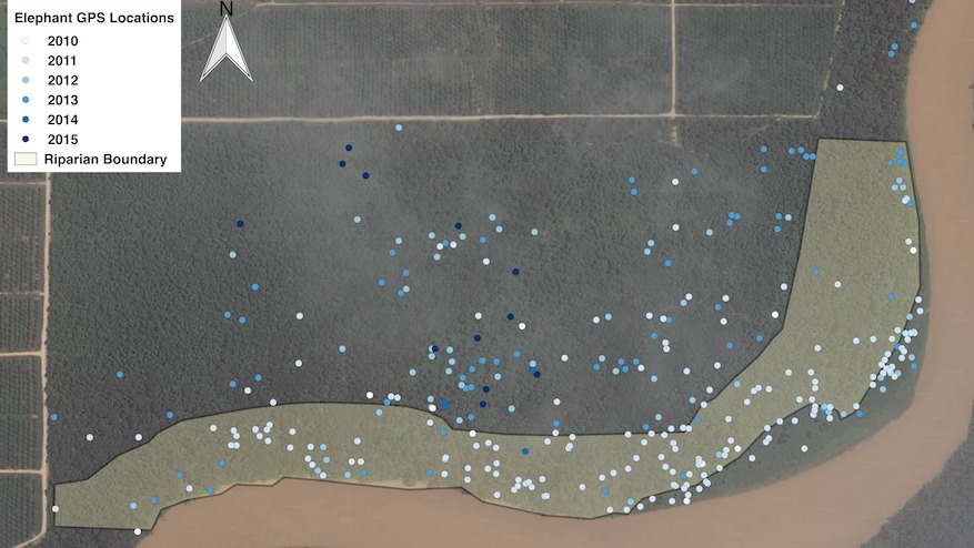 Elephant GPS locations plotted on map