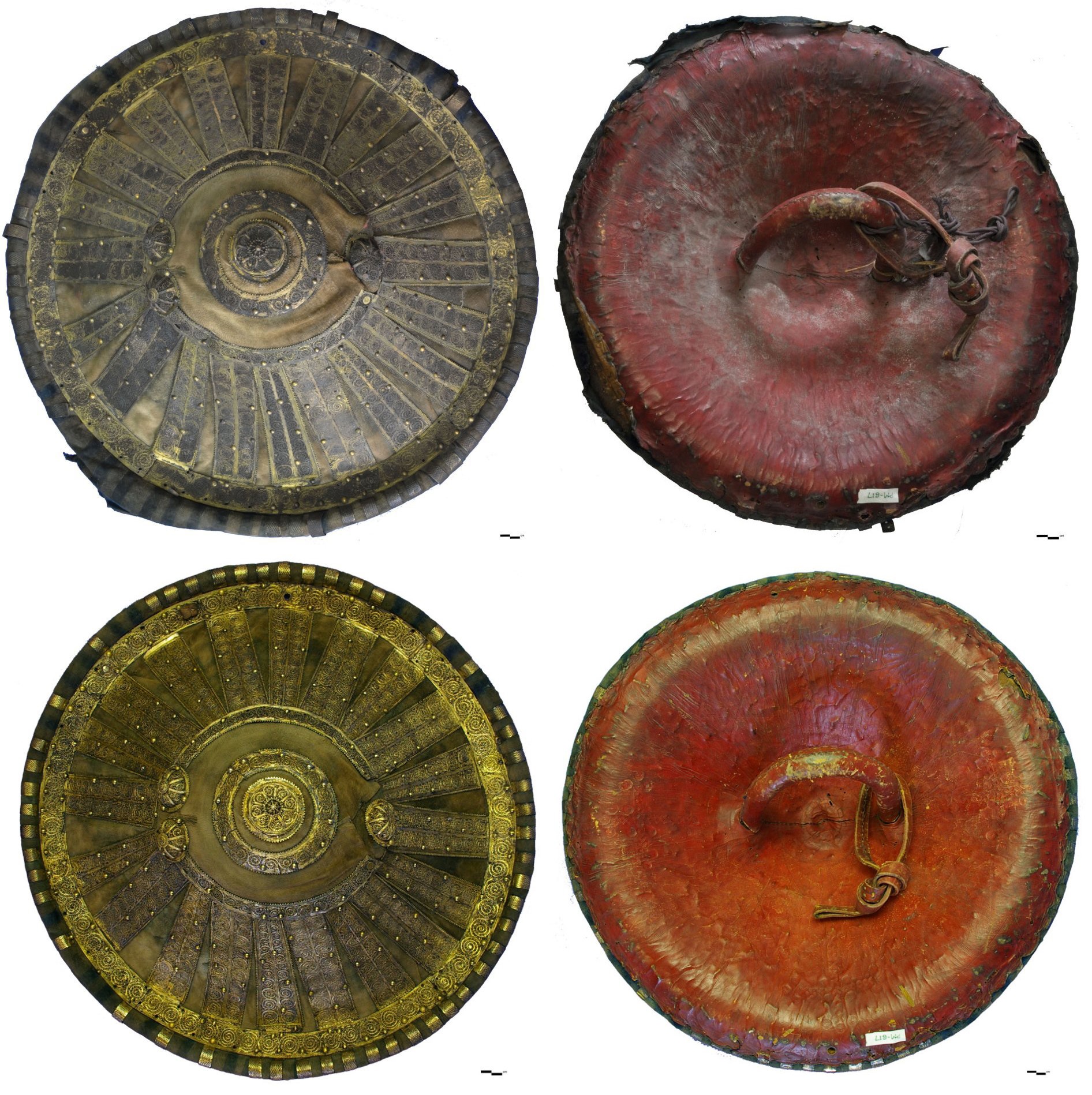 Egyptian Shield 