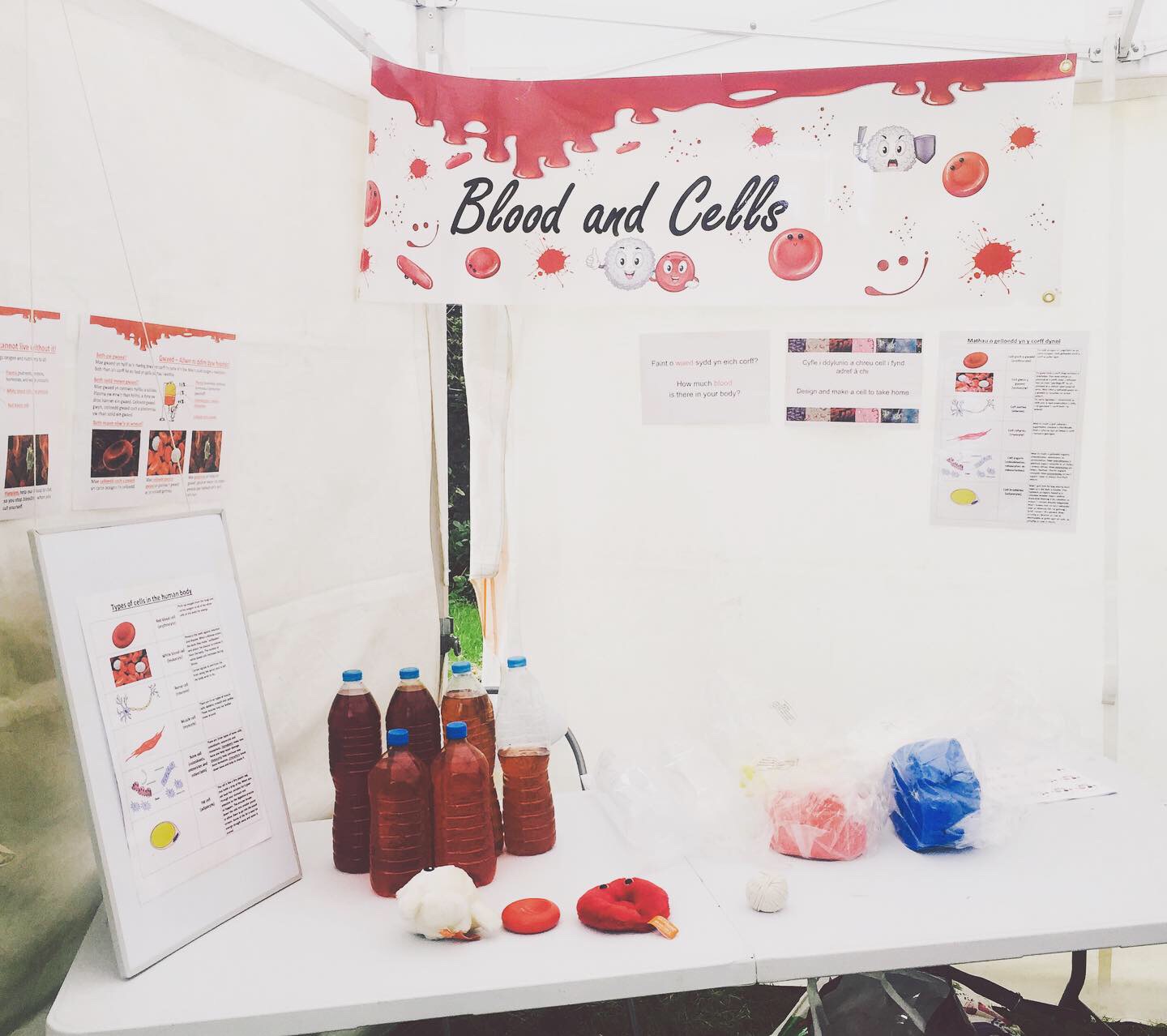 blood and cells 3