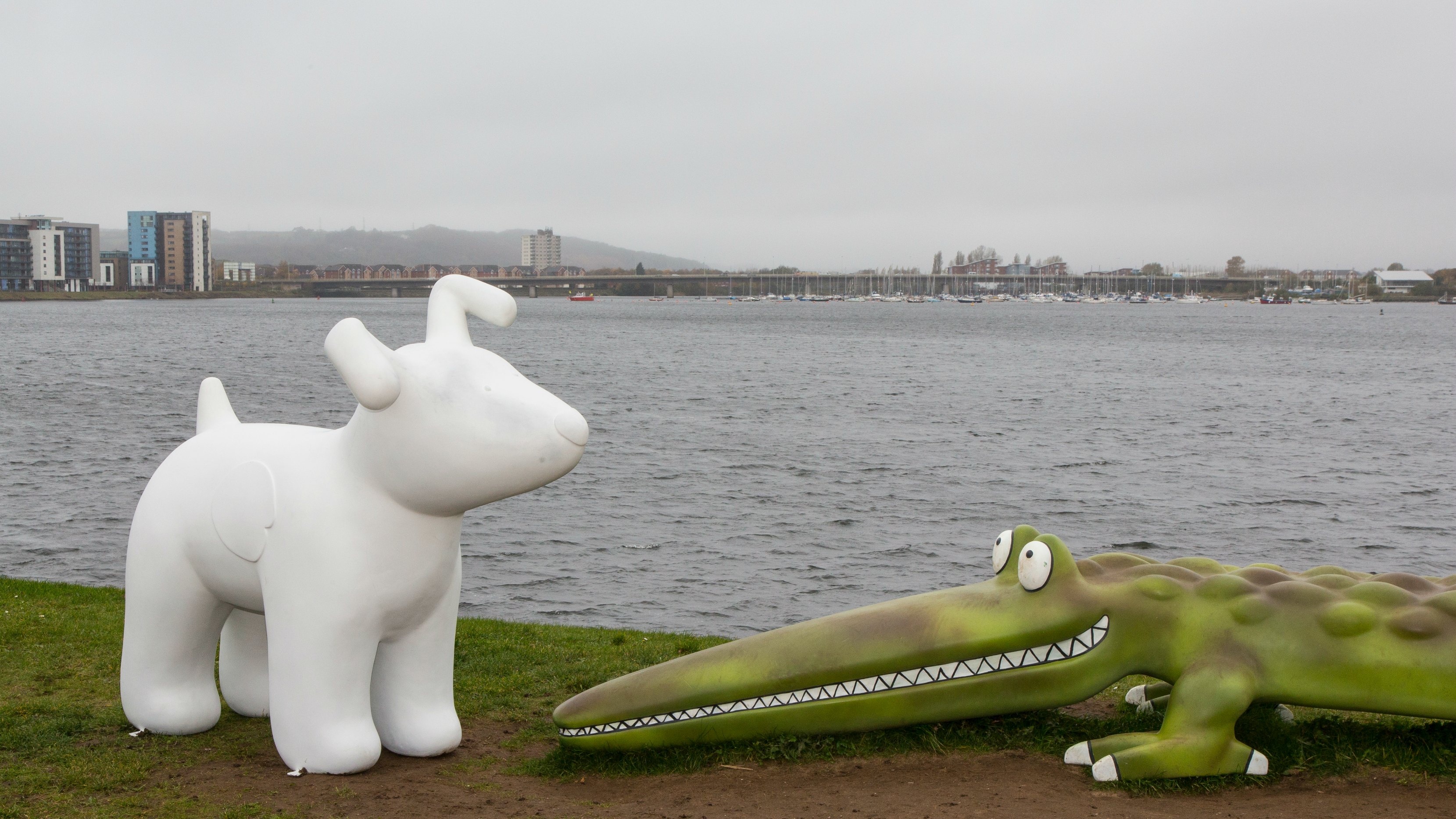 Ty Hafan Snow Dog - Cardiff Barrage