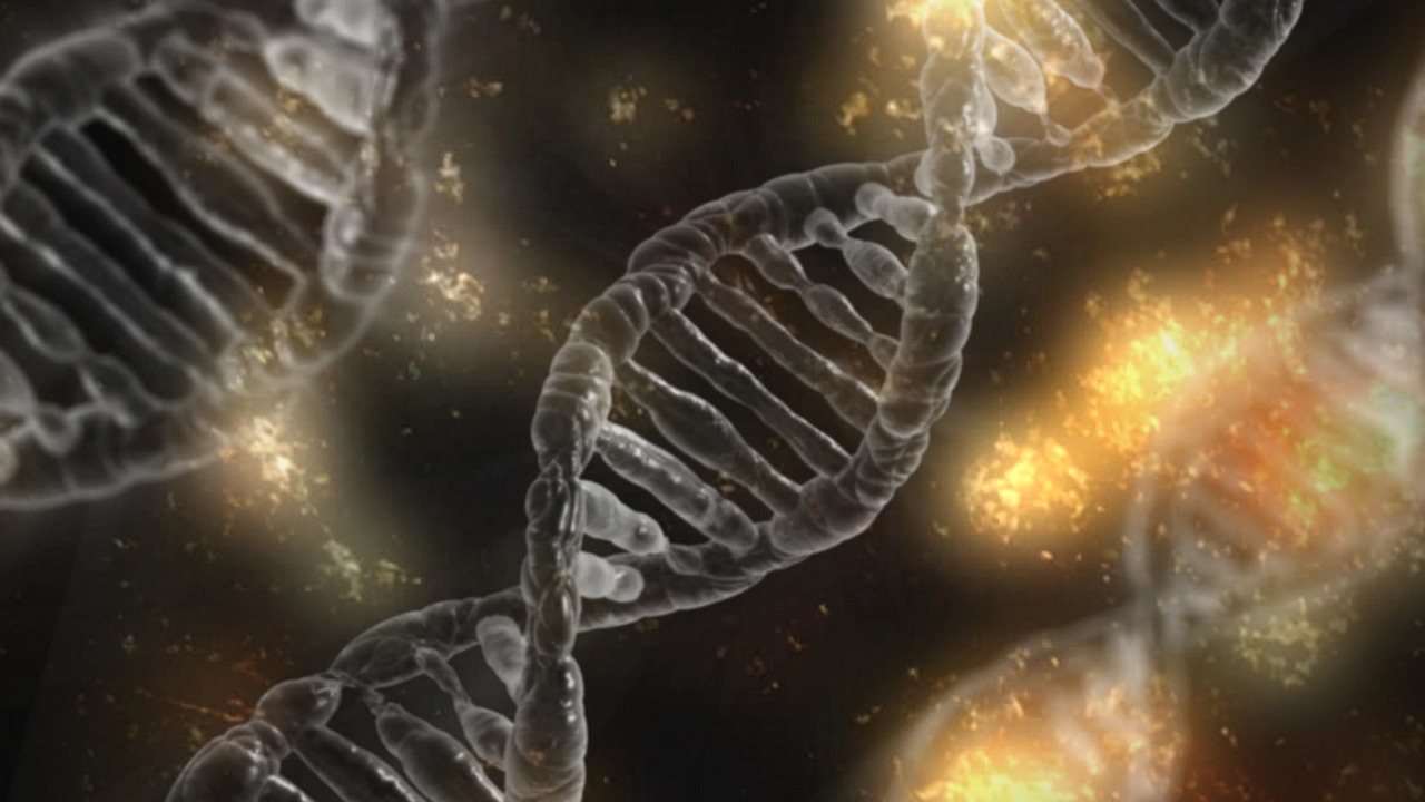 Microscopic DNA gene