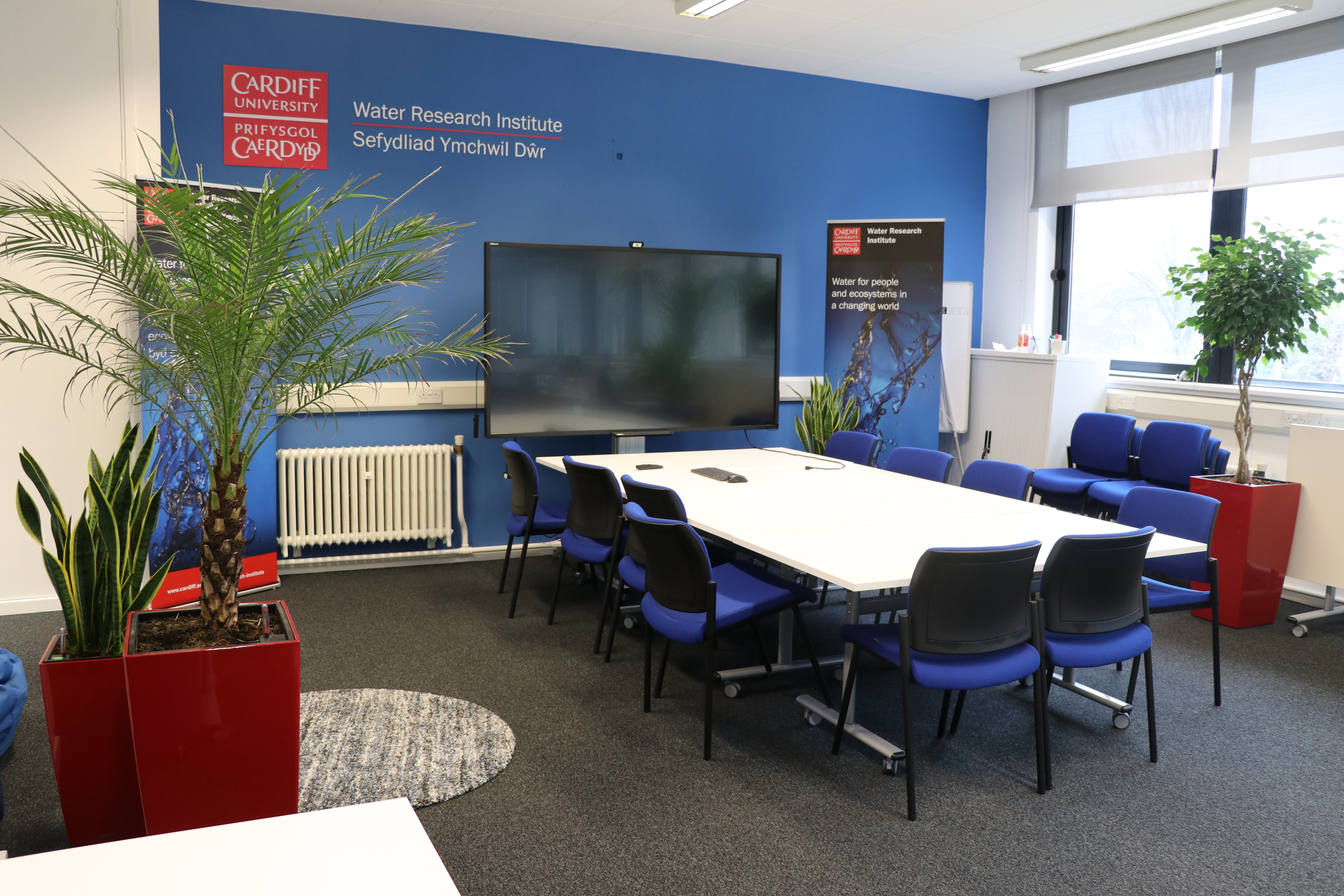Main room 