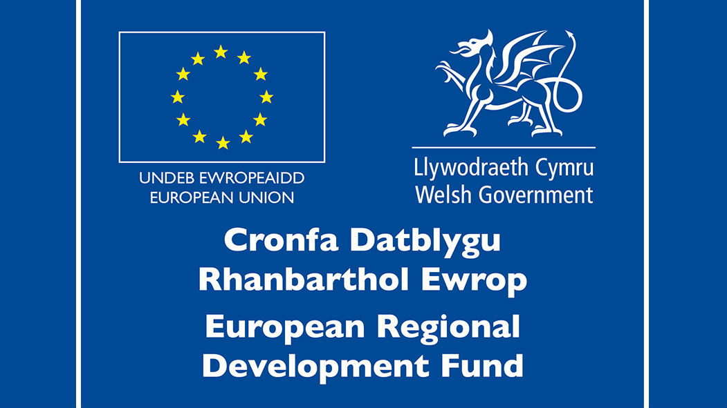 ERDF logo final