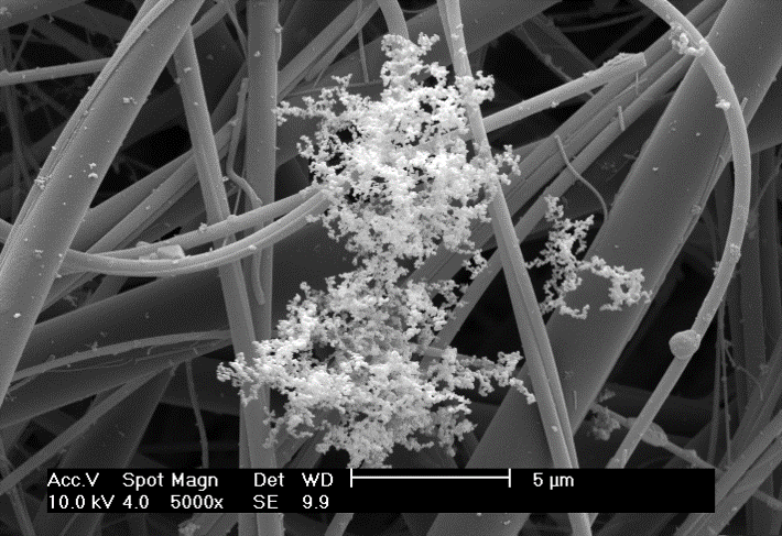 3D scanning electron microscope images of air pollutant particles