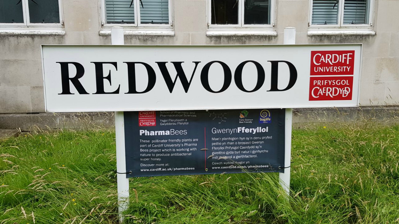 Redwood building signage