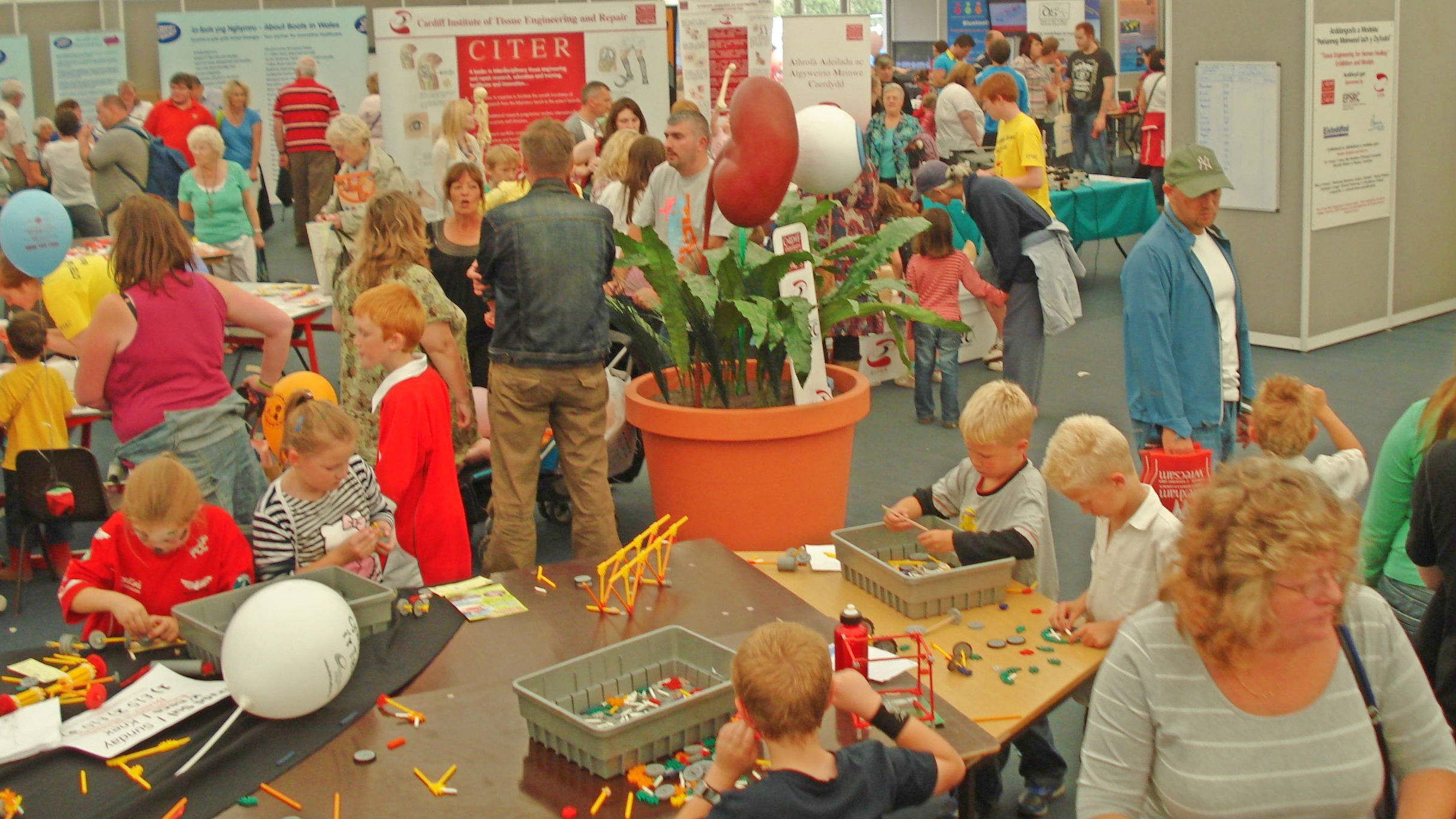 Eisteddfod science