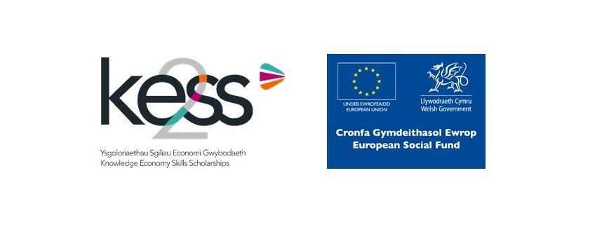 Brand logos for KESS2 & ESF
