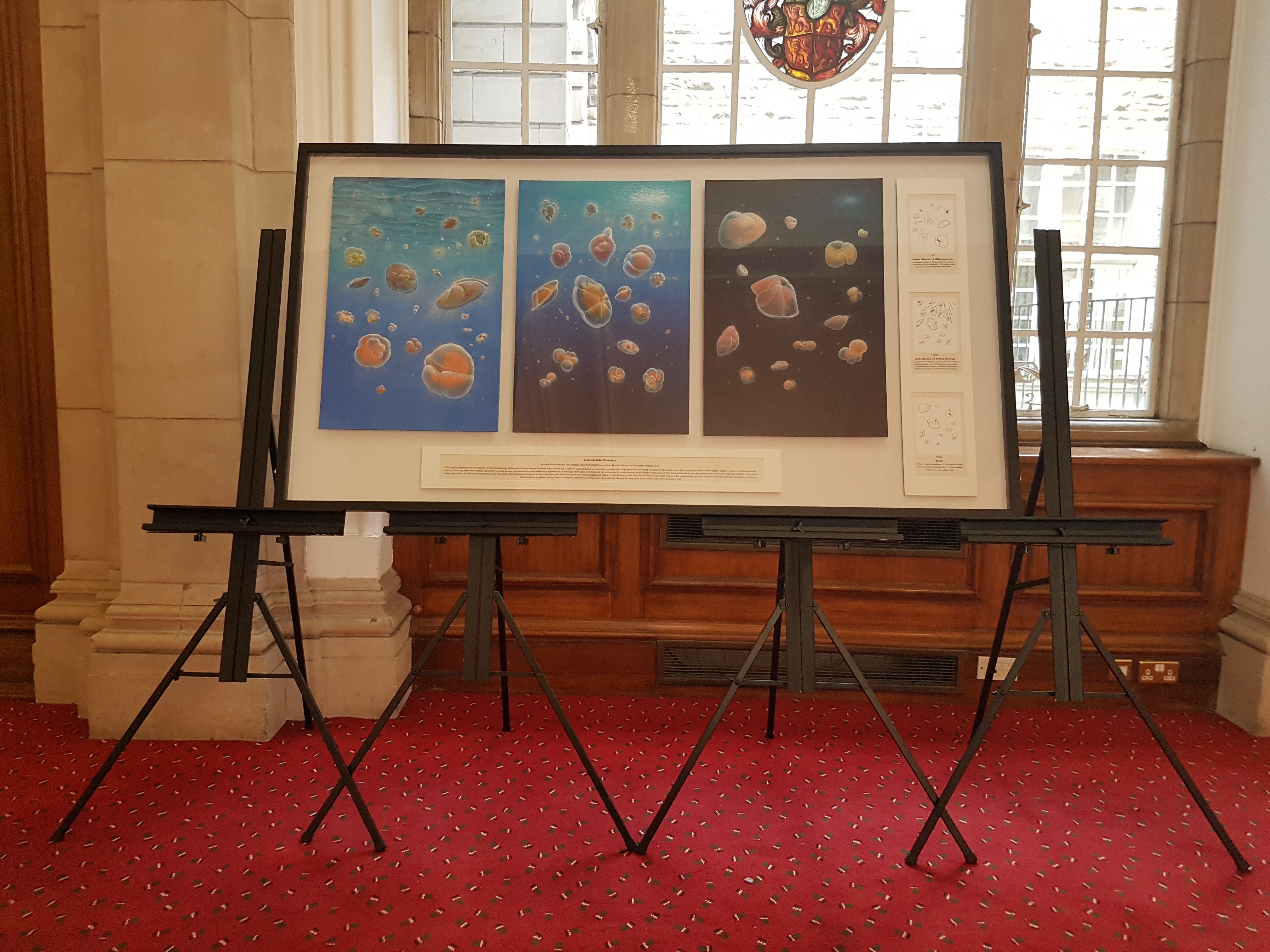 Foraminifera art in the VJ Gallery