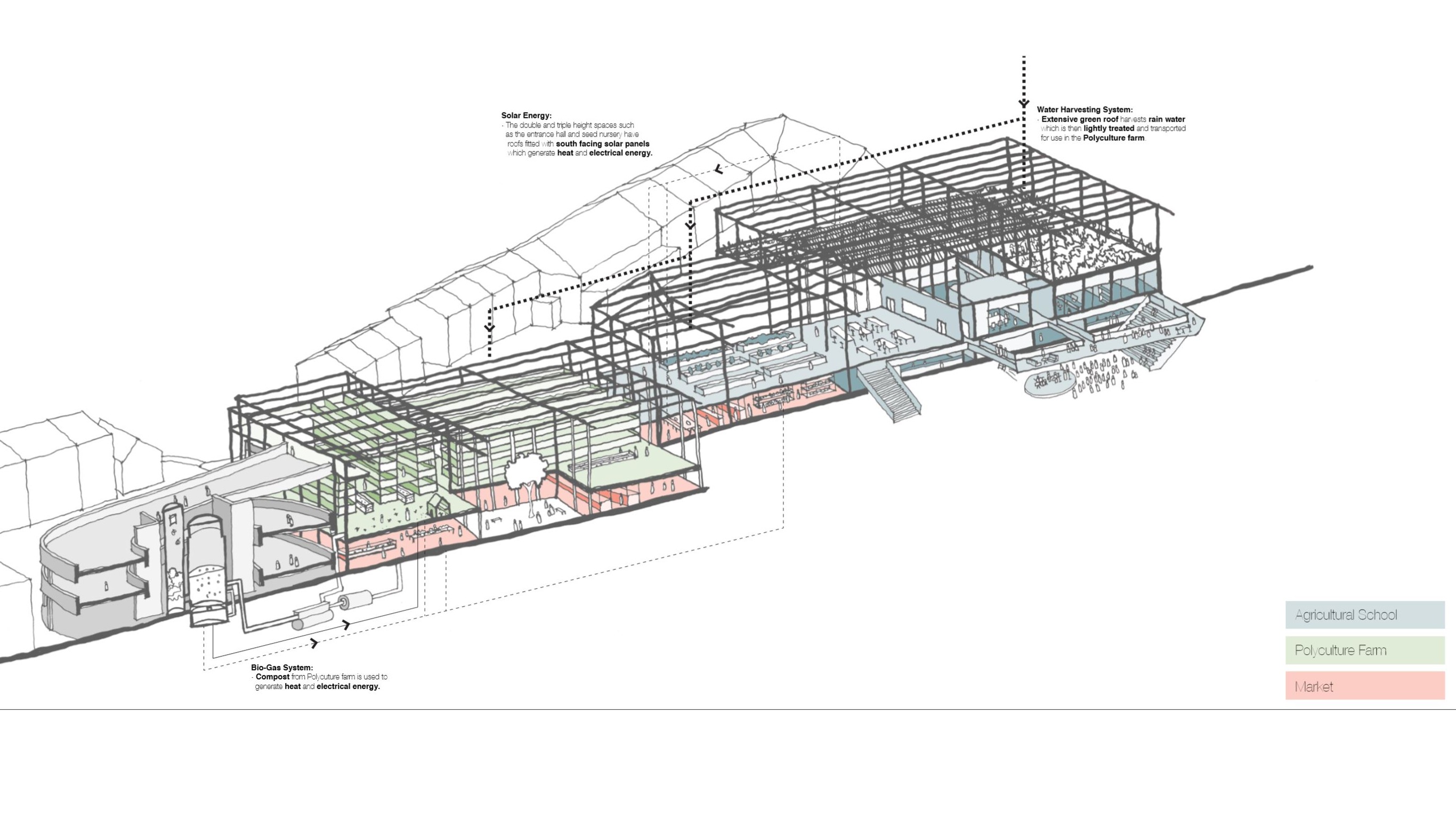 Megan Thacker Archi project