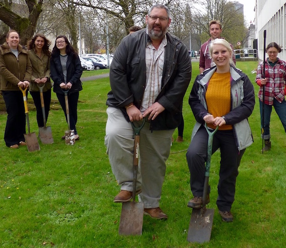 Redwood planting 1