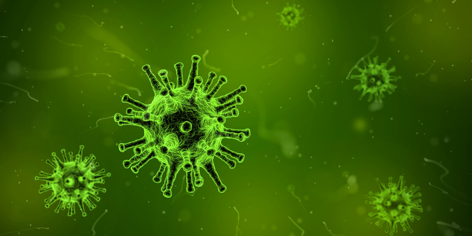 Immunology - green cells