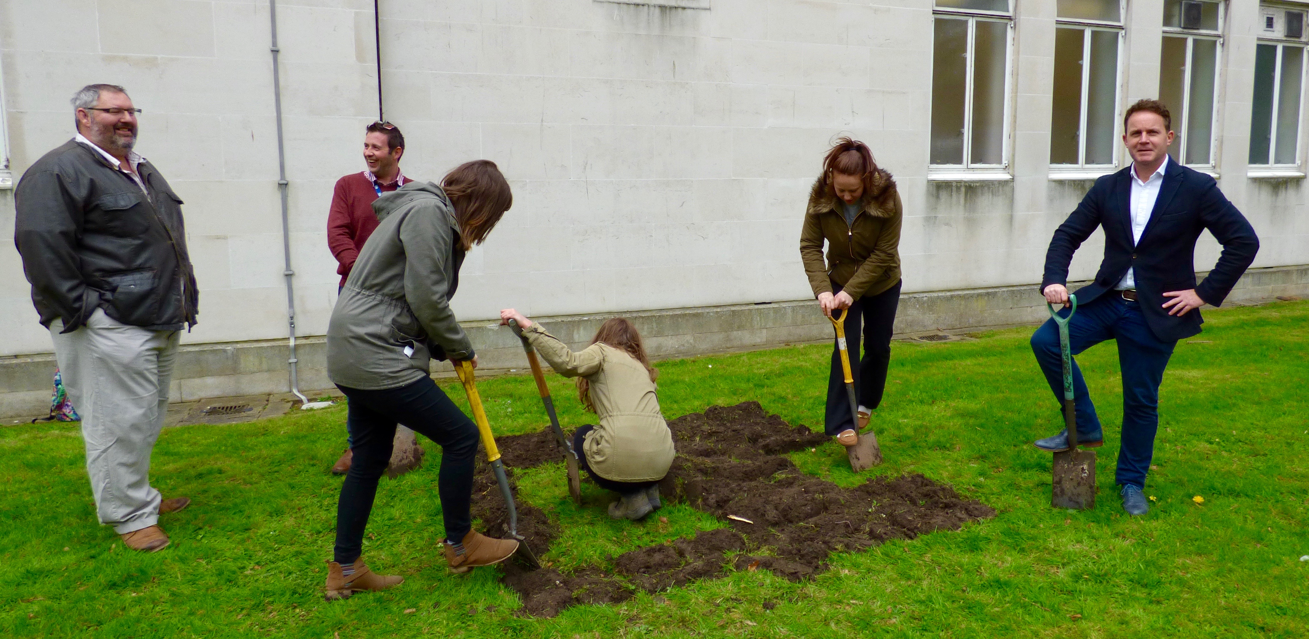 redwood planting 4
