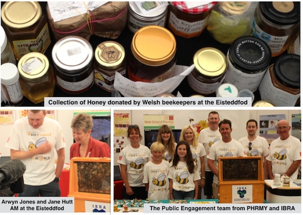 Honey exhibition at the National Eisteddfod 2014
