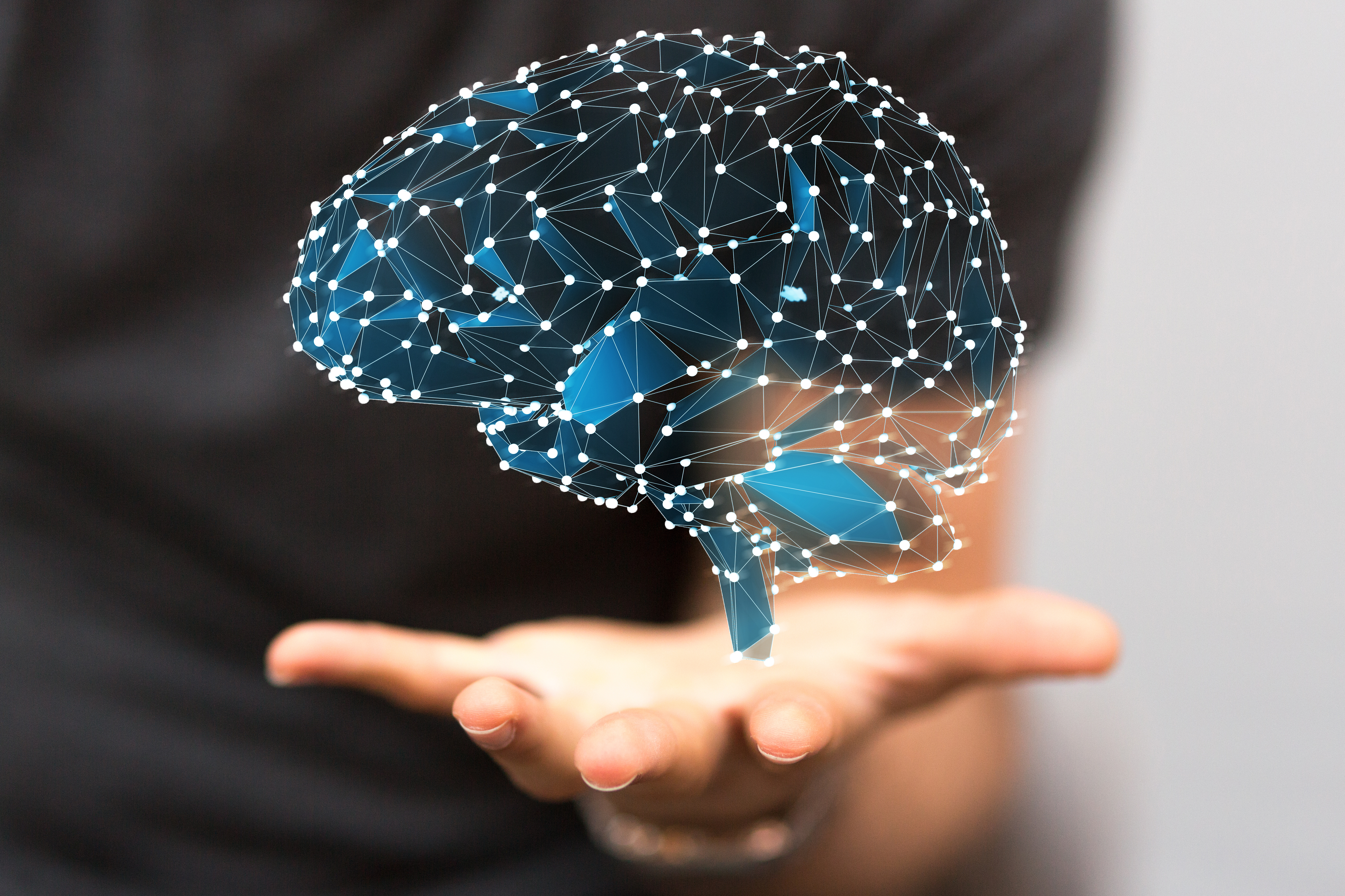 brain in hands