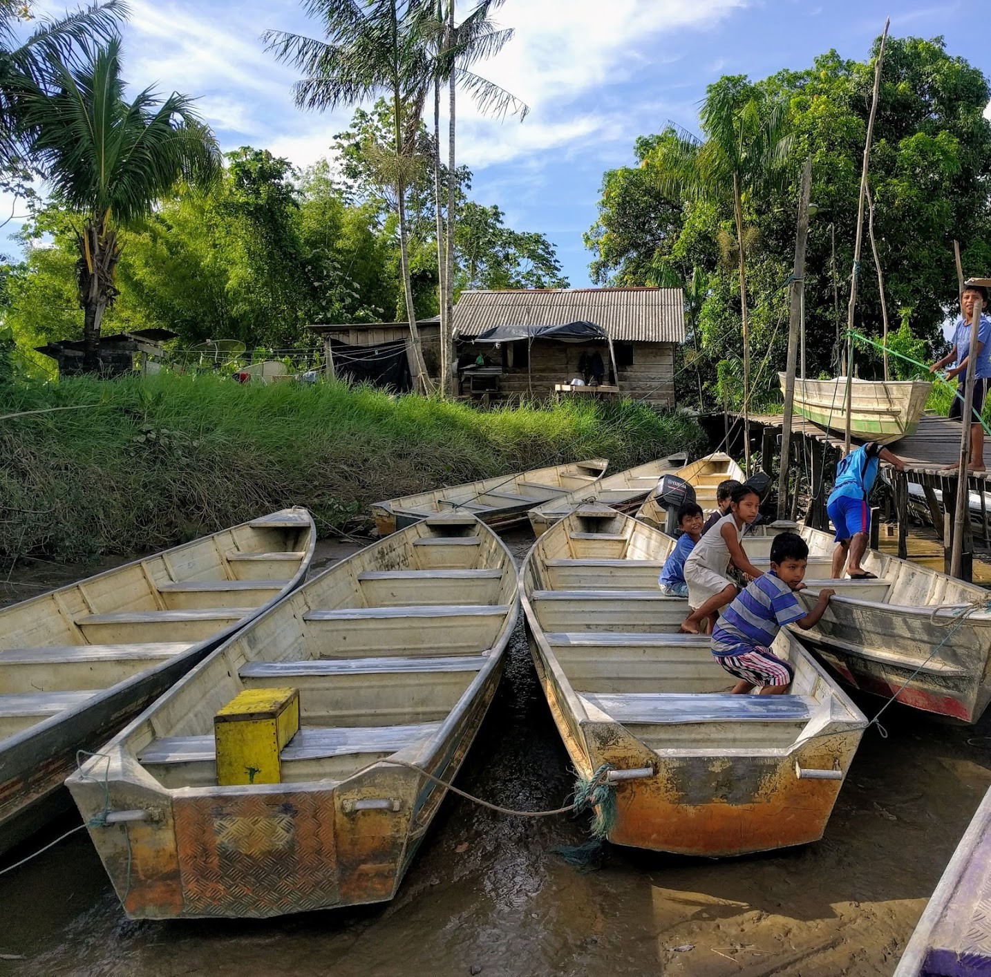 French Guiana daily transport