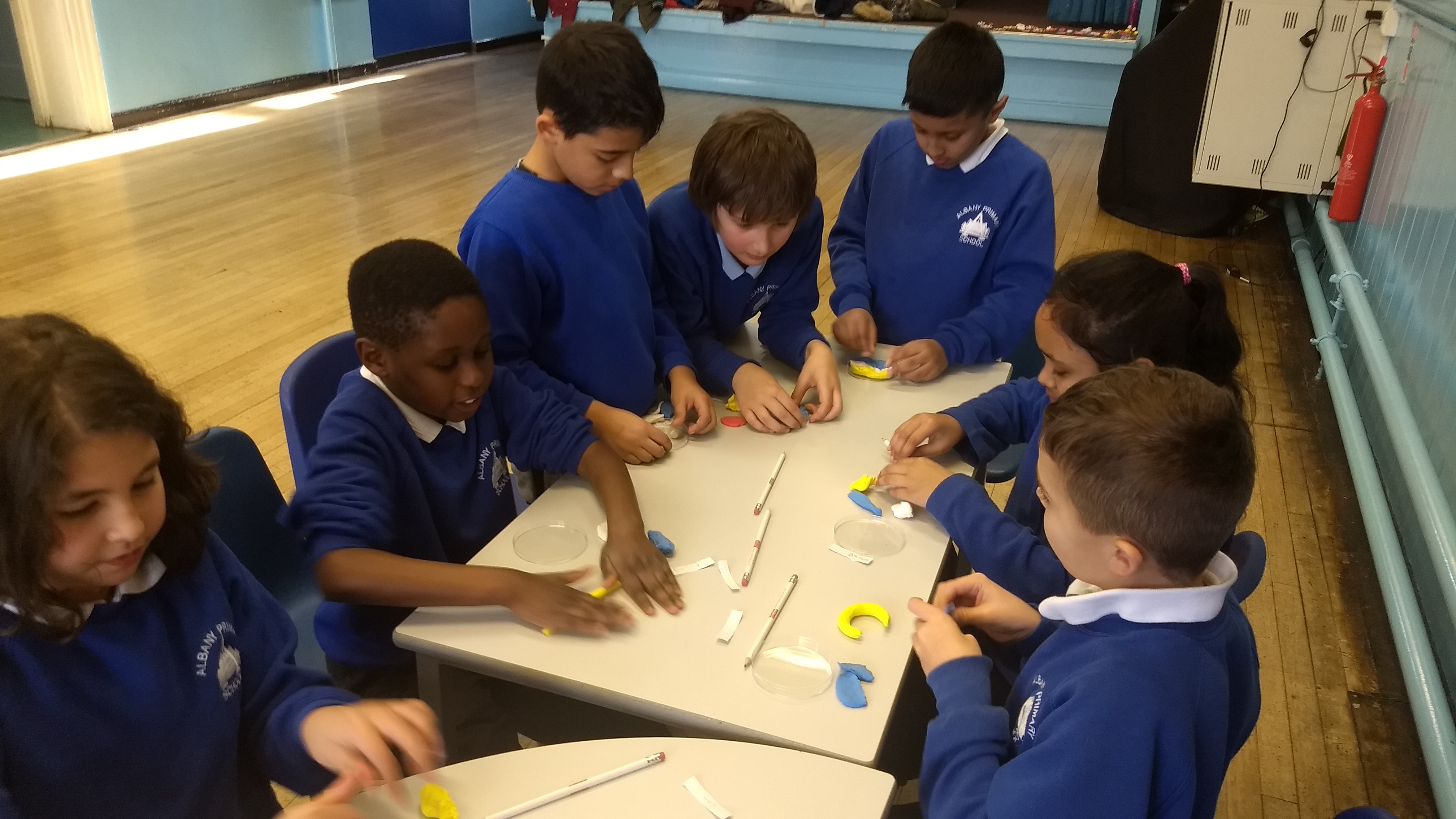 making cells