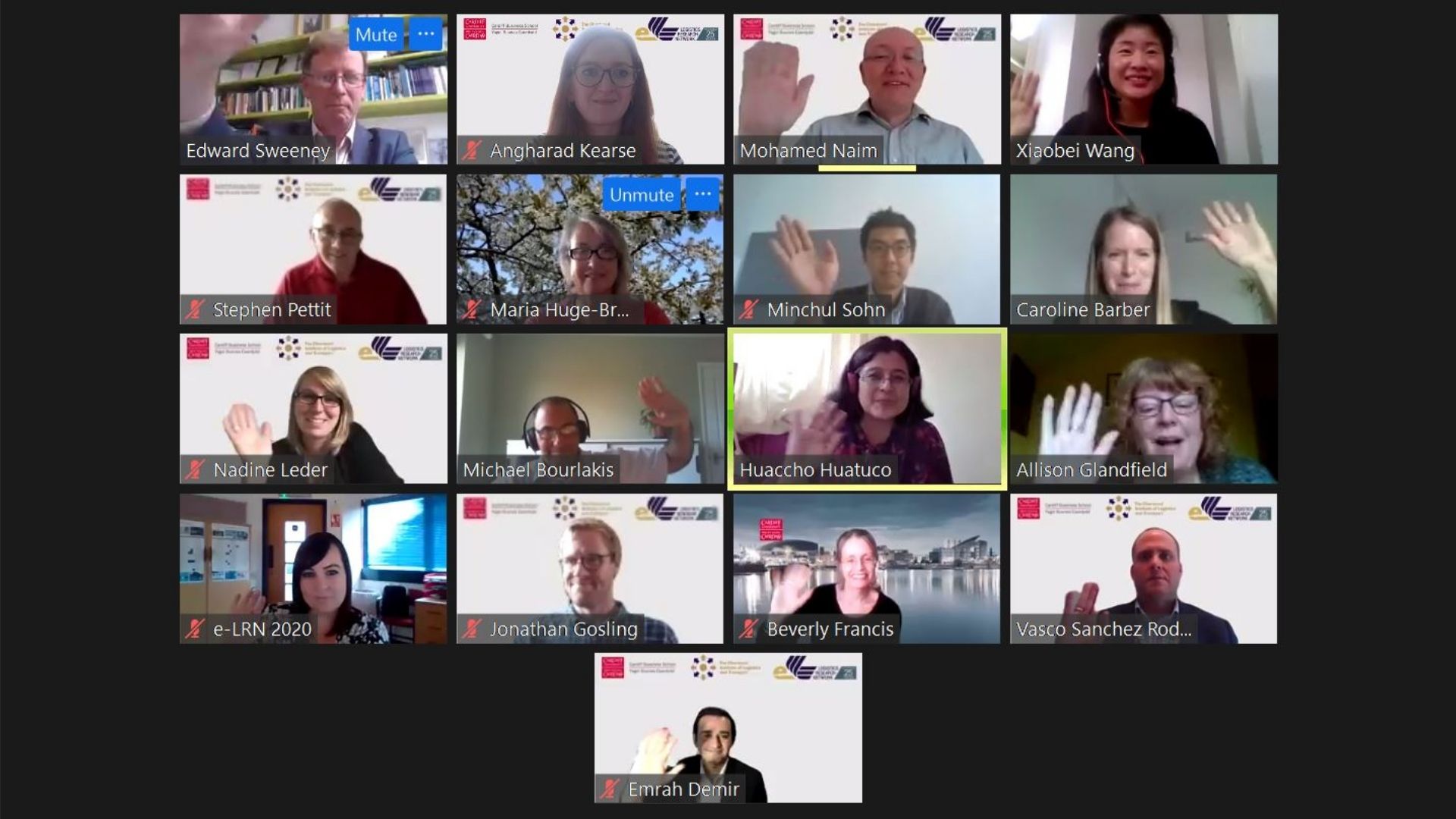Screenshot of e-conference panellists 