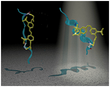 Biophotonic Nanoswitches