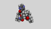 hepatitis C virus