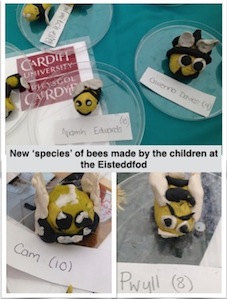 Plasticing bees made by children at the National Eisteddfod 2014