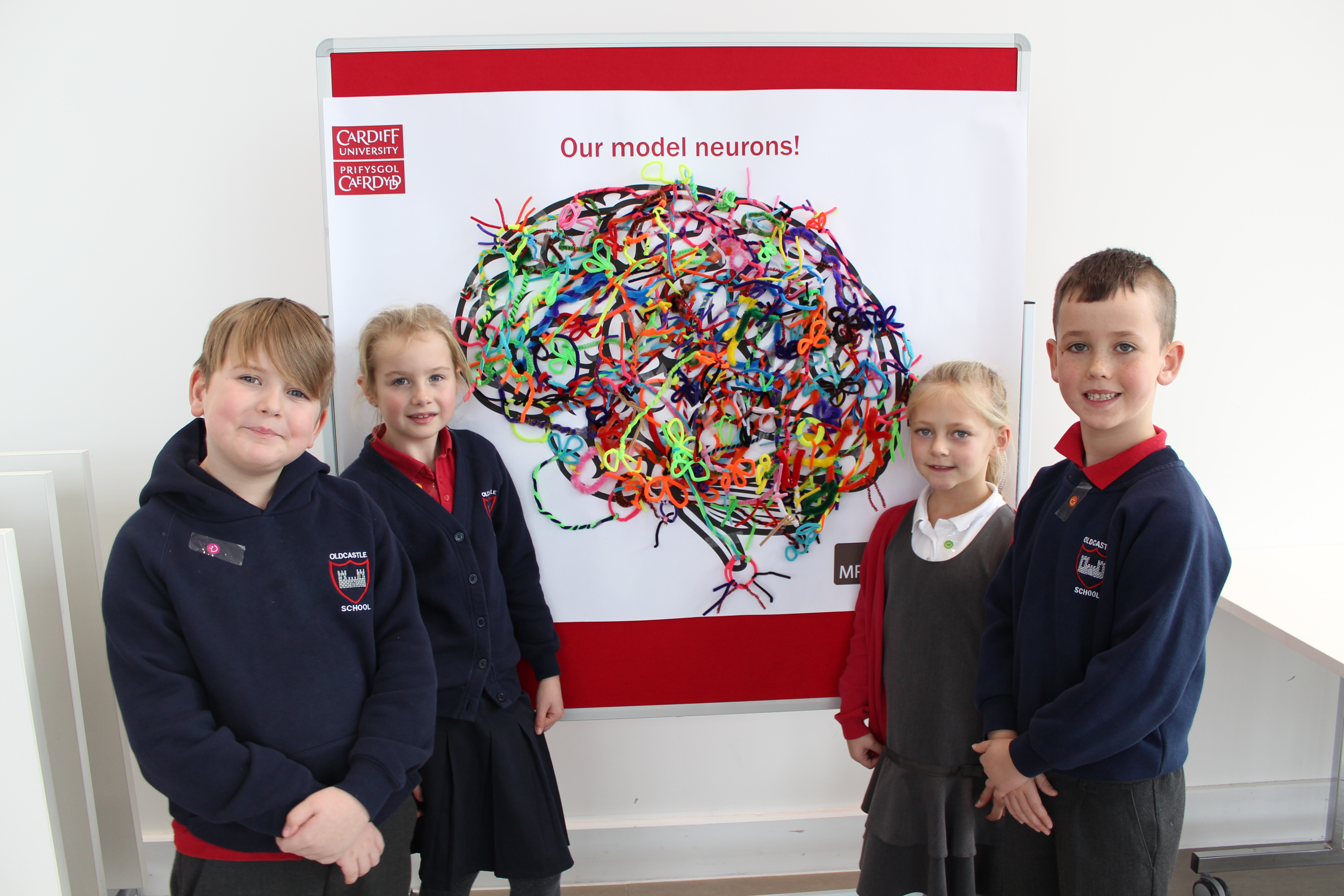 Poster of brain with pipe-cleaner neurons