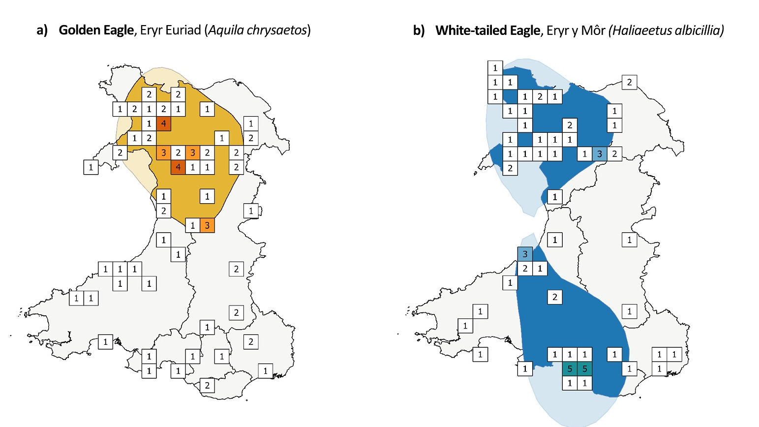 A graphic to show the records gathered on the historical distribution of eagles in Wales 