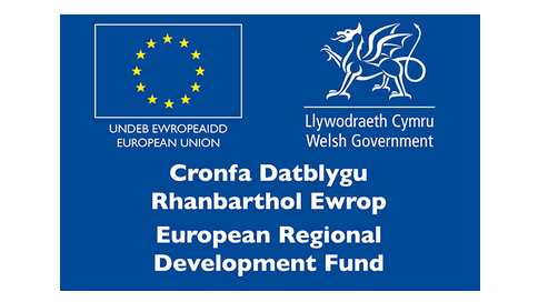 Logo for Ser Cymru