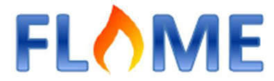 FLAME LOGO