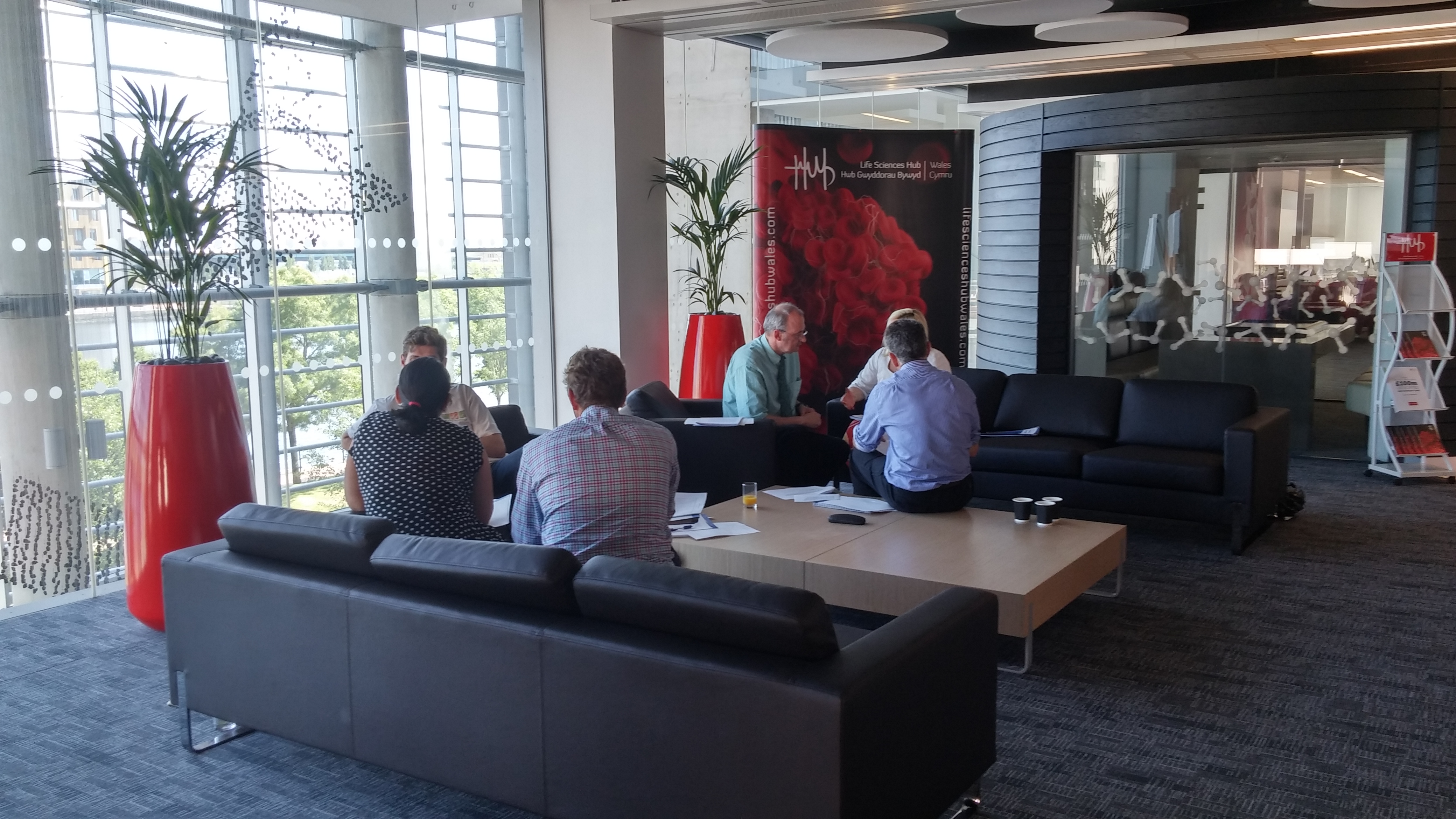 Attendees at MedTRiM event